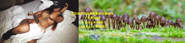 a pvp Горняк