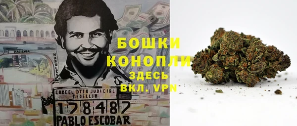 метадон Горнозаводск